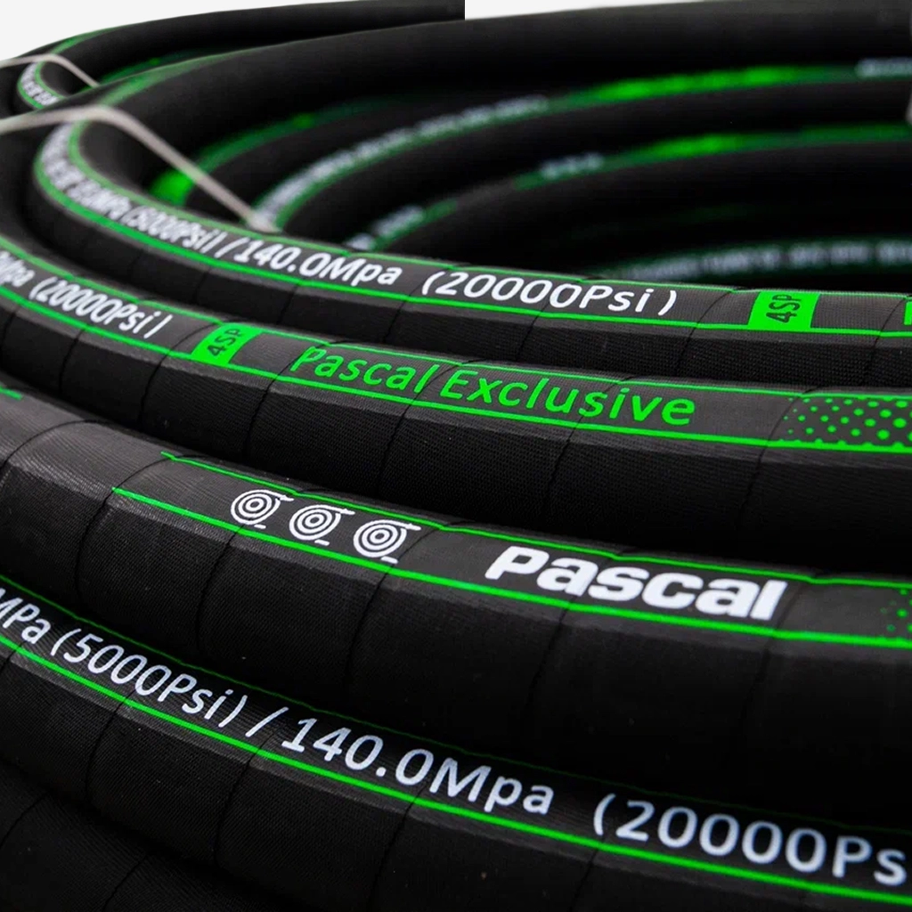 Pascal Dynamic 1