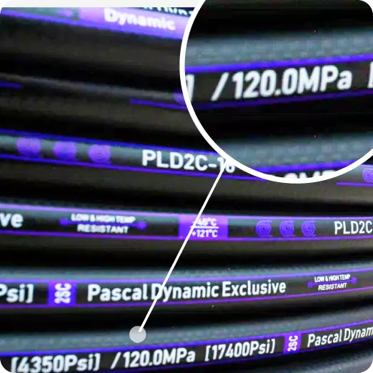 Pascal Dynamic 2